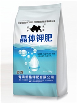 直條切割機(jī)CG-4000用于12毫米以下長條鋼板切割